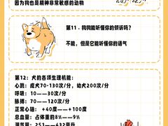 -翊宠yipet猫狗购宠庄园犬舍•猫舍