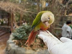 -杭州开元森泊度假乐园