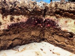 樱桃黑森林-面包新语(上地华联店)