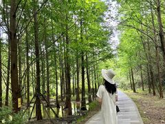 -天河潭旅游度假区