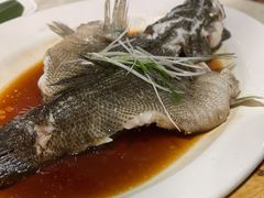 蝴蝶清蒸花尾斑-稻香酒家(长宁KING88广场店)