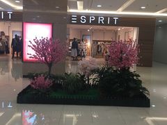 -汤姆熊欢乐世界(滨江店)