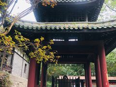 -窦圌山风景区