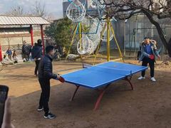 -南山特攻真人CS户外露营轰趴拓展基地