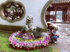 -西湖外事游船(花港观鱼码头)