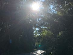 -孔雀湖生态旅游区