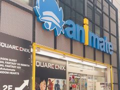 -Animate(秋叶原本馆)