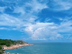 -广东惠东海龟国家级自然保护区