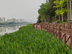 -南宁南湖公园
