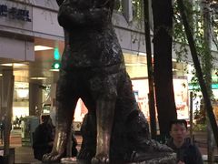 -涩谷区