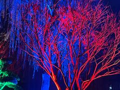 -丝绸小镇荻港古村