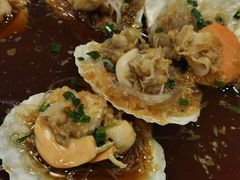 扇贝-新龙船黄浦江餐饮游船官方自营店
