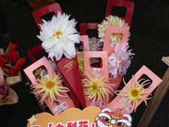 -天河体育中心