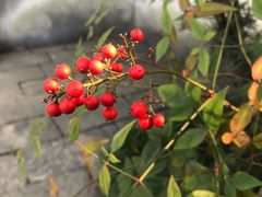 -汇龙潭