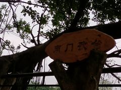 -荔湾湖公园