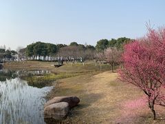 -阳澄湖半岛旅游度假区
