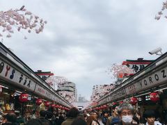 -台场海滨公园船码头
