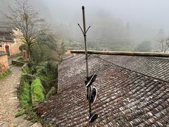 -杨家堂村
