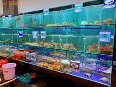 水产区-南海渔家•海鲜•正宗海南菜(海棠湾店)