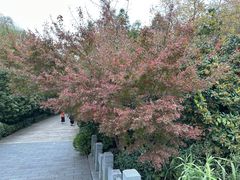 -长广溪湿地公园