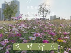-香蜜公园
