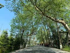 -爱乐蒙艺术·古筝 钢琴 声乐(科华校区)