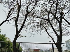 -三亚市第二中学