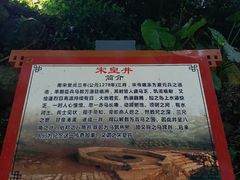 -硇洲岛旅游区
