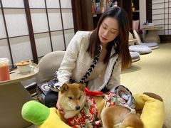 -逗柴咖啡屋·狗咖猫咖宠物桌游