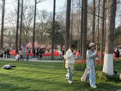 -泰合玺·精油疗愈SPA(南京光环花园城店)