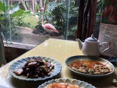 -火烈鸟餐厅