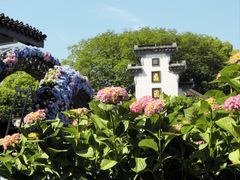 -无锡蠡湖国家湿地公园-蠡园