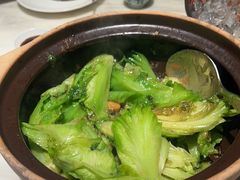 啫啫生菜煲-陶陶居酒家(新天地店)