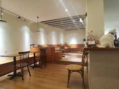 -有猫主题·治愈系猫咖(曾厝垵店)