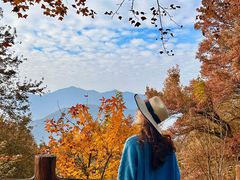 -广州市石门国家森林公园