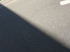 -让鸭脑壳飞(南部店)