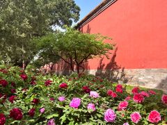 -北京市劳动人民文化宫(太庙)