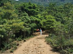-梧桐山风景名胜区