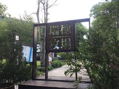 -瑞穗牧场