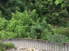 -雁荡山风景名胜区-小龙湫