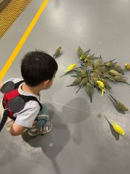 -七巧国萌宠乐园(龙湖天街店)