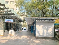 -标婷维生素E乳