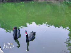 -千岛湖东南湖区