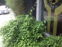 -大唐盲人按摩中心(黄山路店)