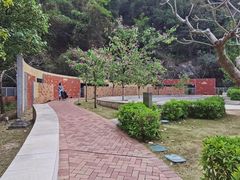 -香港大学