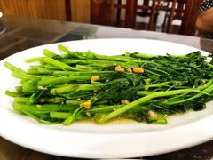 黄豆酱炒空心菜-长平肥姐白粥·海鲜打冷