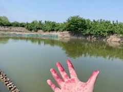 -丝绸小镇荻港古村