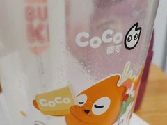 -CoCo都可(虹口龙之梦店)