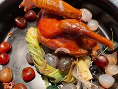 乳鸽-诺莱仕游艇会