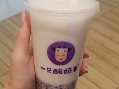 -一只酸奶牛(双流万达广场店)